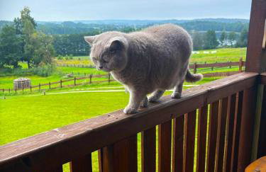 Pasterzewo 19 - Domki na Mazurach - Foto 70