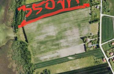 Mamrowisko - Foto 73