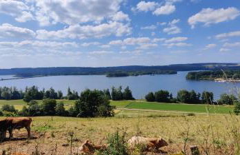 Loft mit Weiherblick im fränkischen Seenland - Foto 16