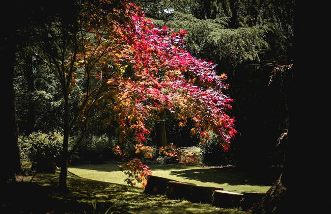 Tir-y-Coed Country House - Foto 53