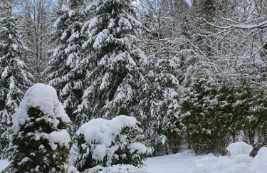 Appartement Am Skihang Altastenberg 1 km zum Skikarusell Winterberg - Photo 27