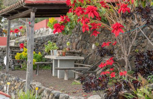 CASA LOS TAJINASTES - Foto 15