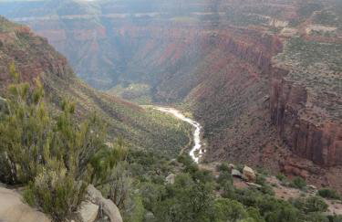 Cedar Canyon Condos - Foto 39