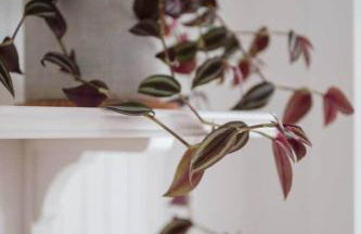 Historic Cottage + Modern Luxury • Walk to Capitol - Foto 52