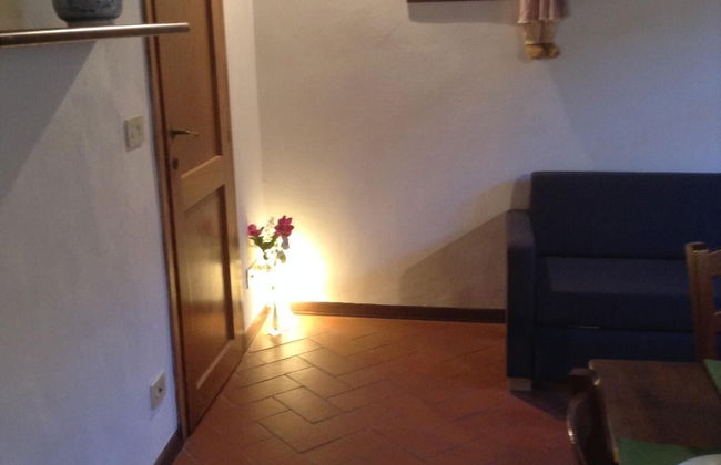 Vellutini Number One - Foto 39