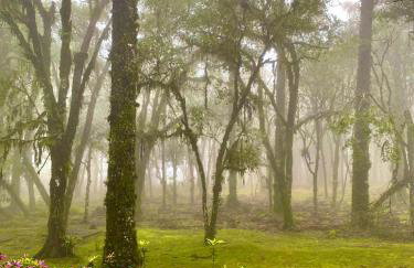 Espetacular apartamento em Canela, Laje de Pedra - Mountain Village - Foto 28