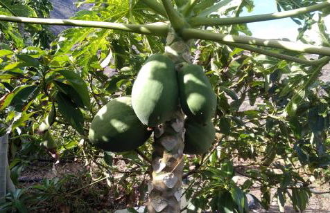 Vv Casa Conchi - Photo 54