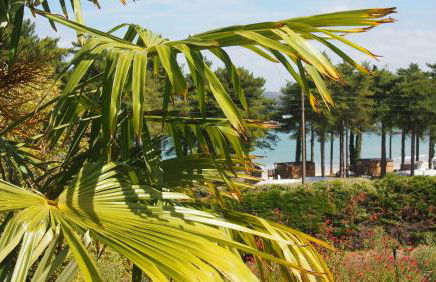 Belle villa à 150m de la plage. - Photo 36