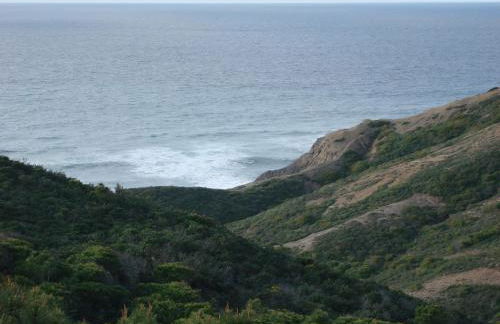 Cantinho da Avó - Photo 14