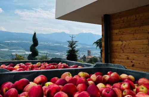 Maso Valèr - Agritur - Foto 25