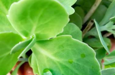 Le Patio 4*. SPA, jardin, piscine en provence, proche Grignan - Foto 43