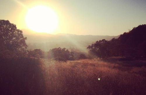 Charming Garden Cottage - Photo 25