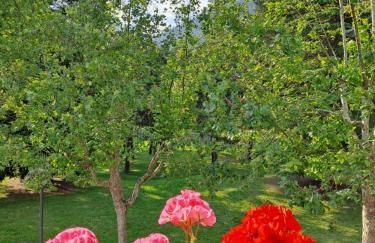 Casa Alby - Photo 25