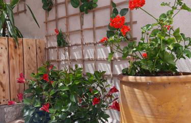 Mariza Apartments -studios - Foto 29