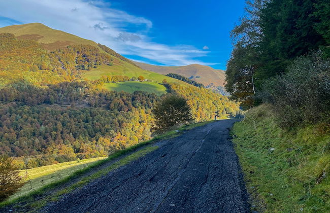 Alexander Place - Foto 42