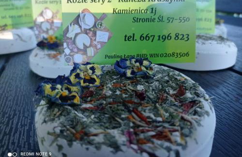 Agroturystyka,, Ranczo Kruszynki" - Foto 10