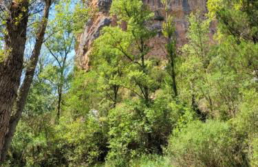 CASAGUAPA Alto Tajo - Foto 50