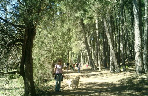 Casa Rural Cañón de Río Lobos II - Foto 28