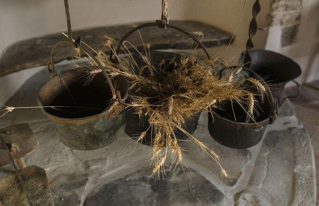 Castel di Luco - Photo 23