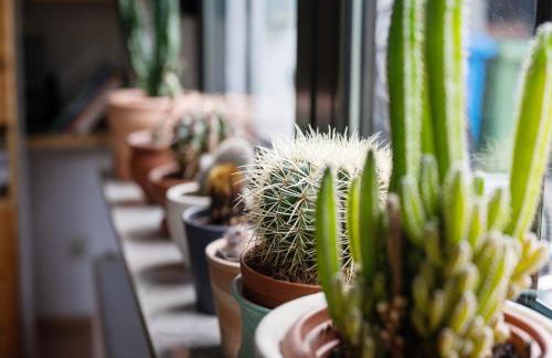 Charmantes Refugium mit 2 Schlafzimmern - Foto 36