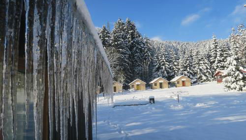 Ferienpark Thüringer Wald - Foto 5