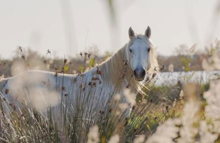 LE LOGY-COSY - Appartement 5 pers - Clim Wifi Cosy Garage - Foto 30