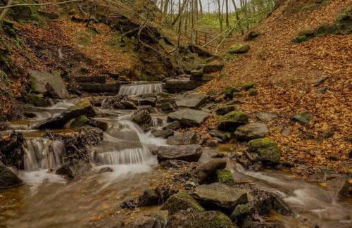 103 Whalley Road Ramsbottom - Foto 43