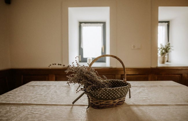 Vineyard cottage Zdolšek - Foto 12