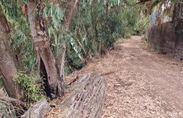 La Herbolera Vv Apartamento - Foto 35