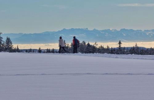 Apartment Lufs Loft für 6 Pers by Interhome - Foto 22