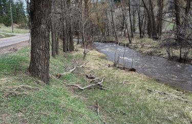 Morrison Colorado Mountain Getaway - Red Rocks - Foto 49