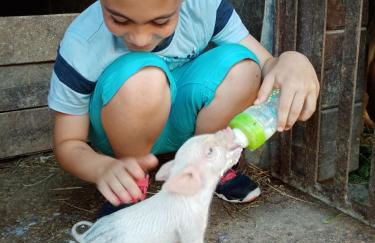 Agriturismo Il Casale - Foto 44