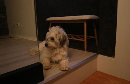 Casa do Poço - Photo 65