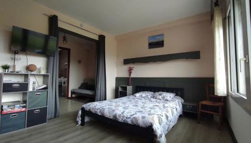 Studio avec belle vue proche du lac Genin Echallon - Foto 3