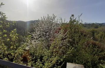 Villa Le Palmine - Foto 40