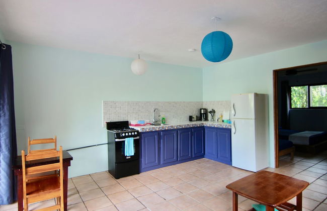 Bohemian Monkey - Foto 6