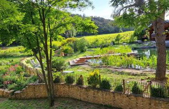 L'Etang Des Cigales - Foto 44