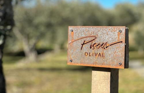 Quinta dos Piscos - Foto 70