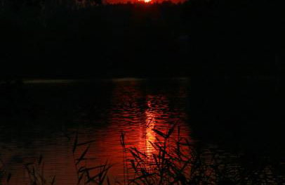 Anglo-Polish Holidays - Foto 19