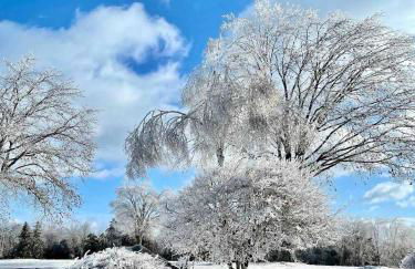 Longpond Cellars and Farms 40Acre Estate - Foto 49