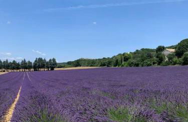 Studio décoré avec goût - Foto 2