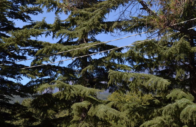 L'infinito - Foto 39