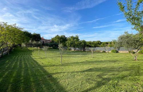 Apartments Sea Heaven - Photo 58