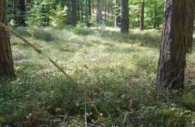 Ihre Auszeit am See - Photo 40