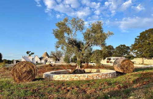 Trullo Dimora Podere Papilio - Photo 42