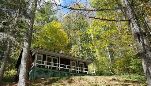 The Cabins at Healing Springs - Foto 5