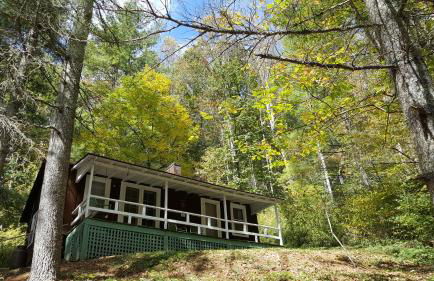 The Cabins at Healing Springs - Foto 5
