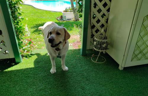 CHALET VELA Natura e Relax - Foto 26