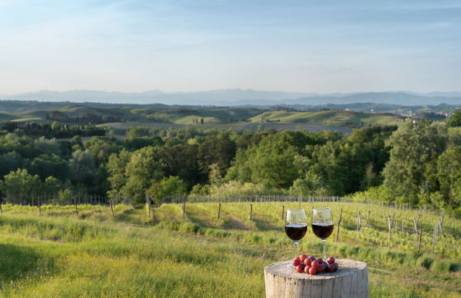 Villa Oliva - Foto 46