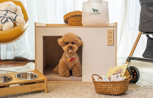 Somerset Jeju Shinhwa World - Foto 21